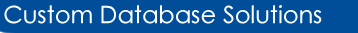 Custom Database Solutions